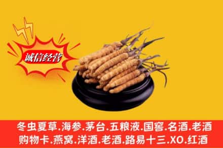 汕头龙湖区求购回收虫草多少钱每克